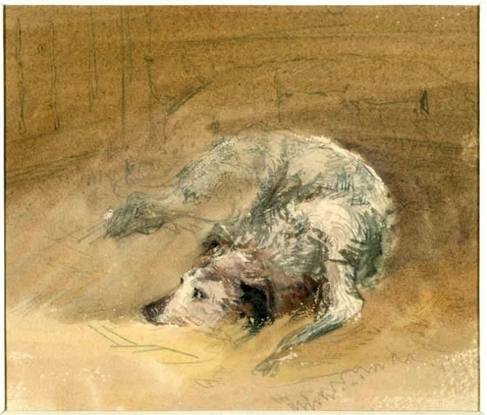 David Cox study of a dog