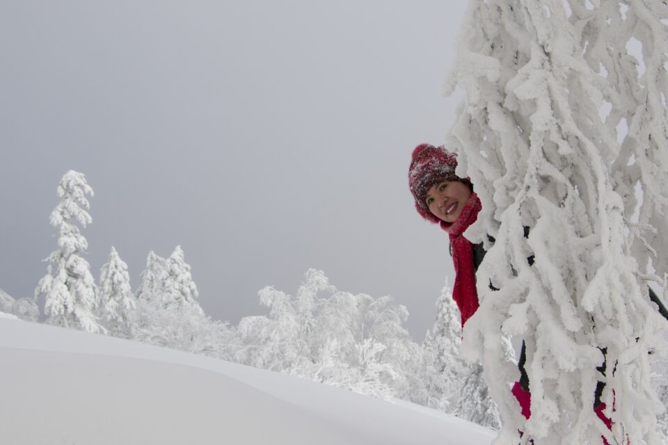 QQ Photo20161228194407