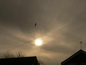 UK chemtrail 6th Feb 2019 morning chemtrail... a lot of that is chemtrail !