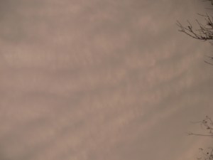 quilted / rippled aluminized sky 13th Feb 2019 - 0900 GMT