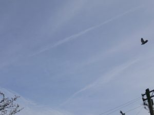 chemtrail northern England 23 March 2019 Saturday morning 08:07 hrs