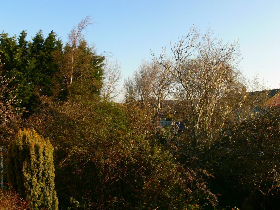 No chemtrail so far 0800 BST NE England.