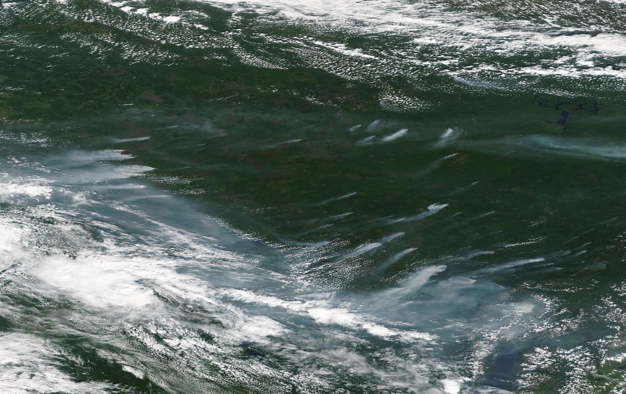 forest fires Siberia 17 July 2019 