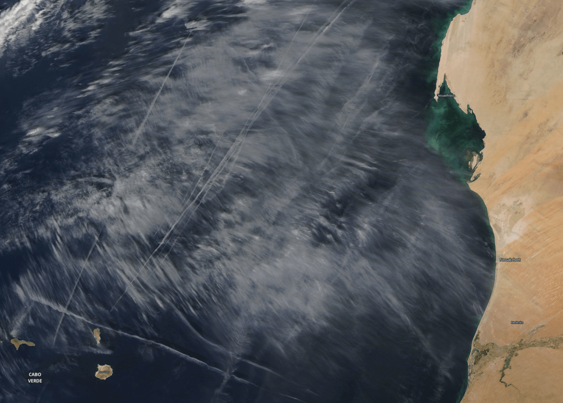 Coastal Mauritania chemtrail. 29 Dec 2019. https://go.nasa.gov/37iZfJu